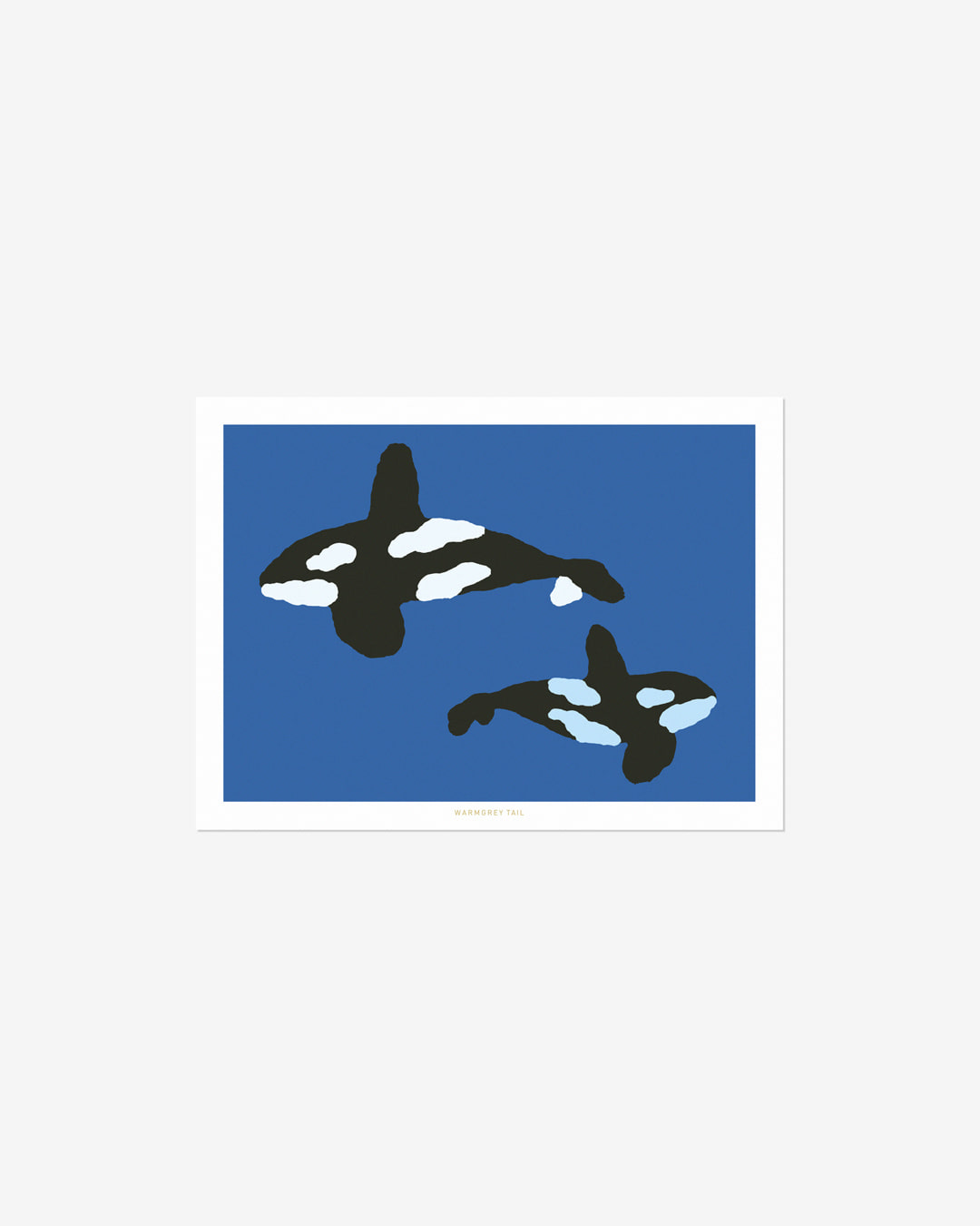 ORCA POSTCARD